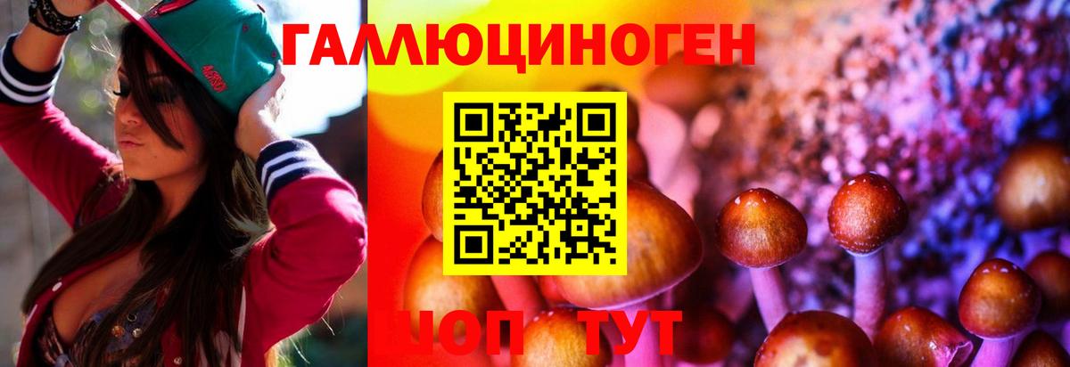 Псилоцибиновые грибы мицелий Дагестанские Огни